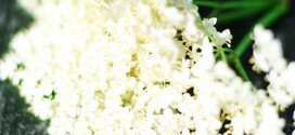 Vanille-vlierbloesemmilkshake